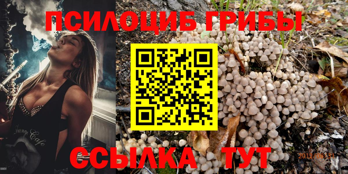 Псилоцибиновые грибы MAGIC MUSHROOMS Мытищи